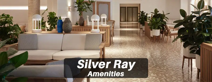 Silver Ray Activities and Facilities